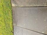 image of grave number 973754